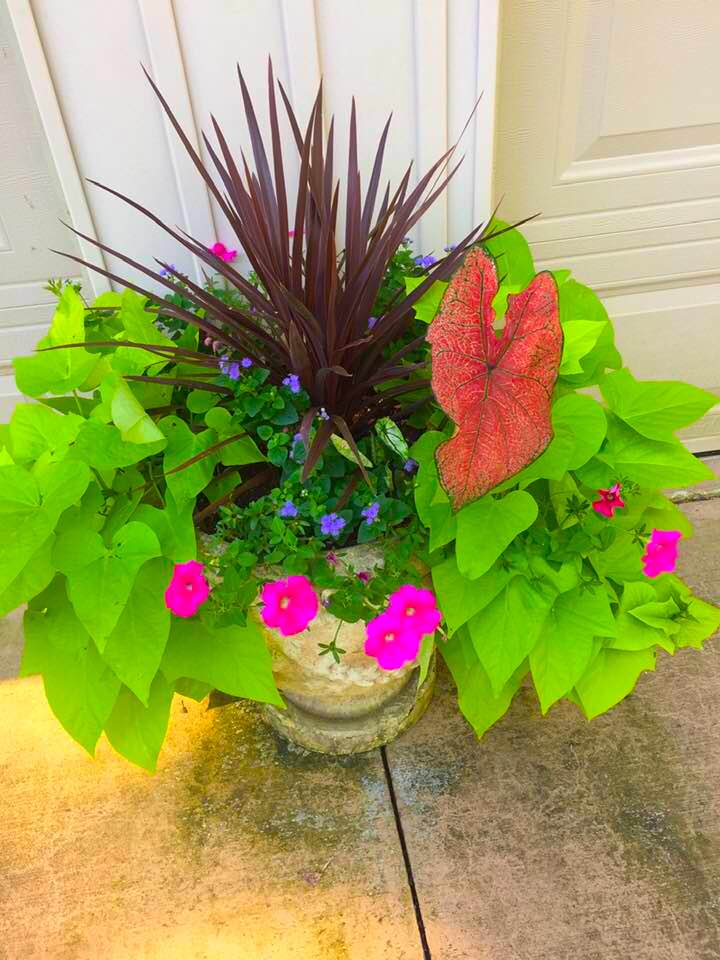 103964092_4334826023201791_6445706314143717512_n