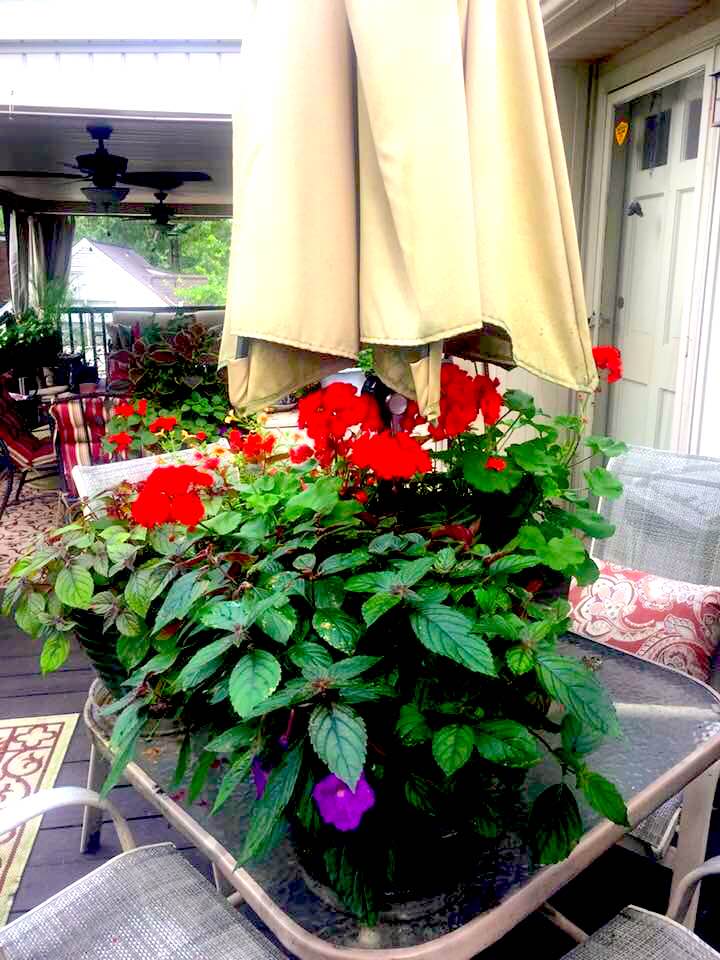 106722411_4450264568324602_5197225673718870085_n-1