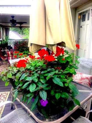 106722411_4450264568324602_5197225673718870085_n-1