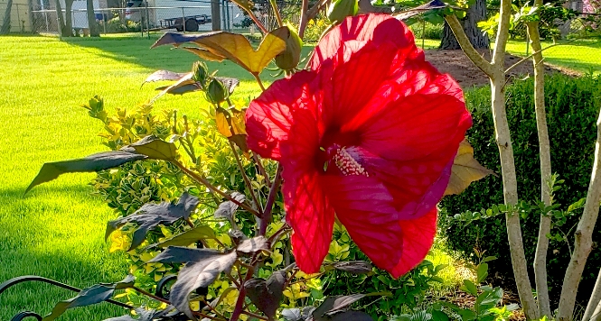 Resized_Resized_20200709_182806(2)001