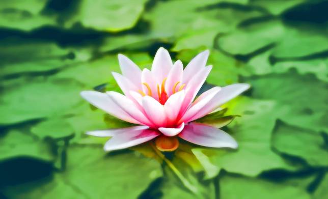 Be Still!