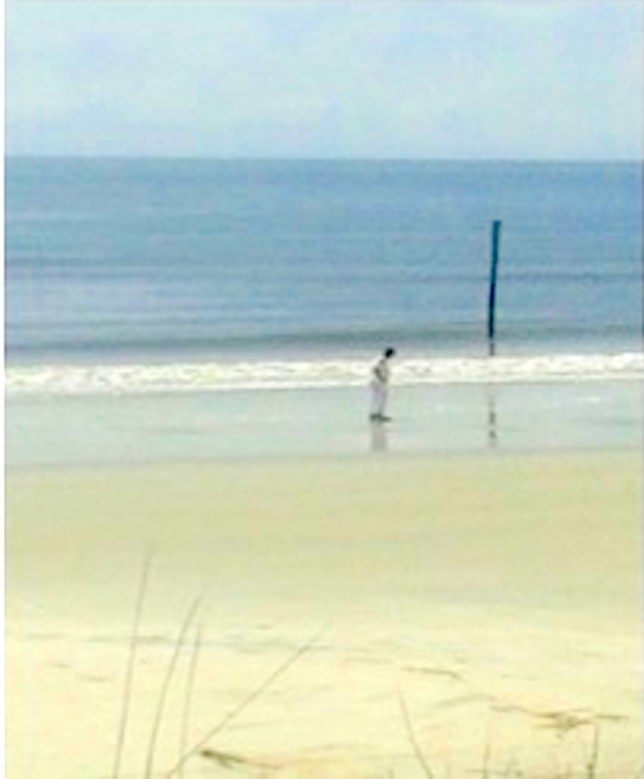 Awakening on Sapelo Island