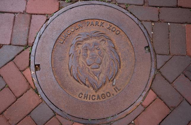lamentation for 2nd city: the lion’s roar